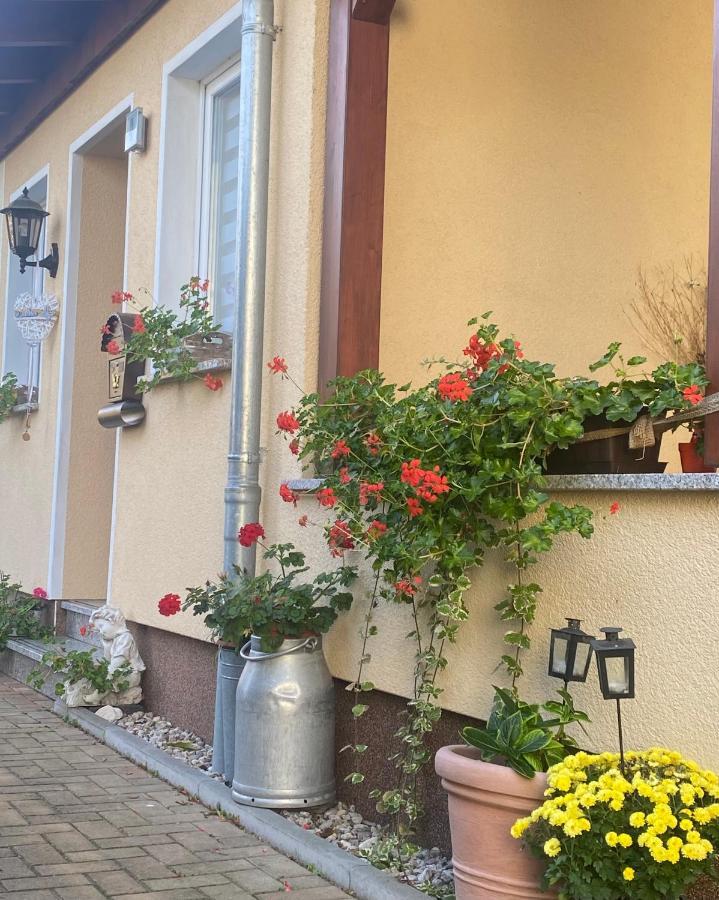 Ferienwohnung „Thea“ Bad Lausick Εξωτερικό φωτογραφία